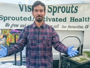 broccoli sprouts