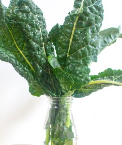Kale Iron Smoothie