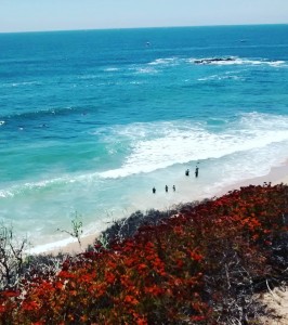 Laguna Beach