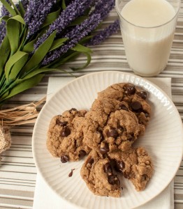 Vegan Chocolate Chip Cookies