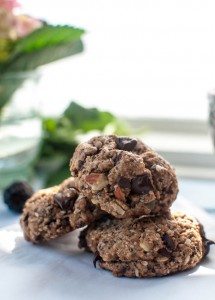 Trail Cookies