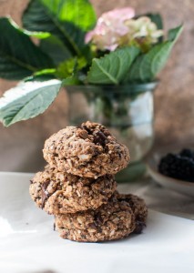 Trail Cookies