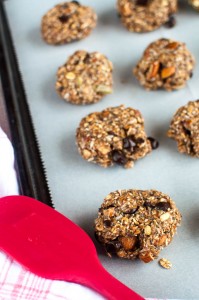 Trail Cookies