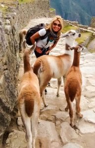 shy alpacas in machu picchu