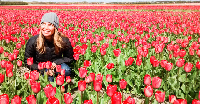 Amsterdam Tulips - The Passionate Vegan