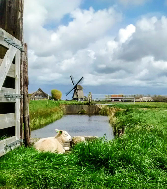 windmills Amsterdam