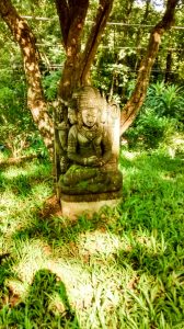 Bodhi Tree yoga costa rica