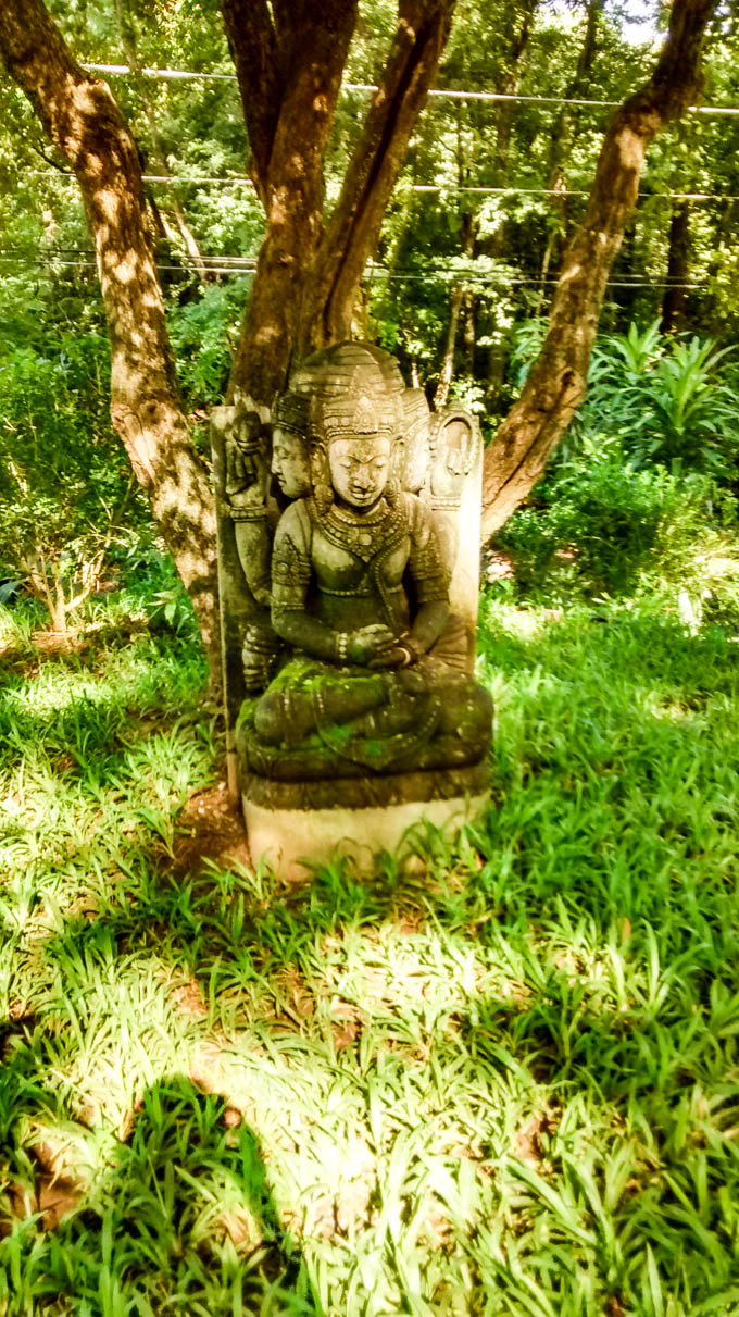 Bodhi Tree yoga costa rica 