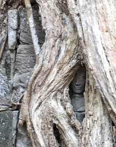 Buddha head